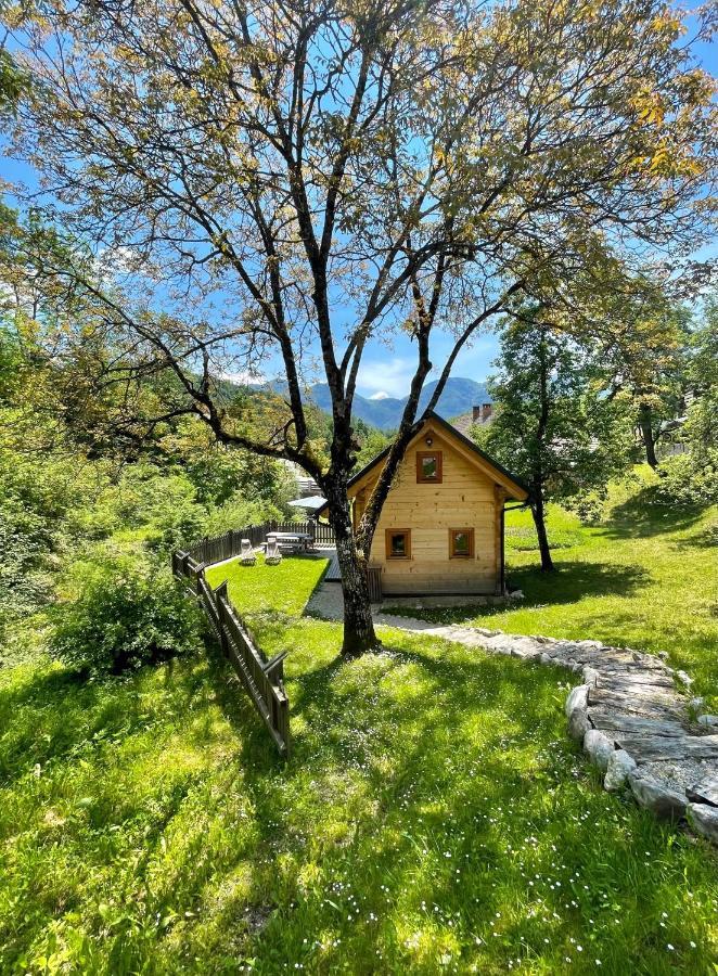 Holiday House Jereka -בוהין מראה חיצוני תמונה