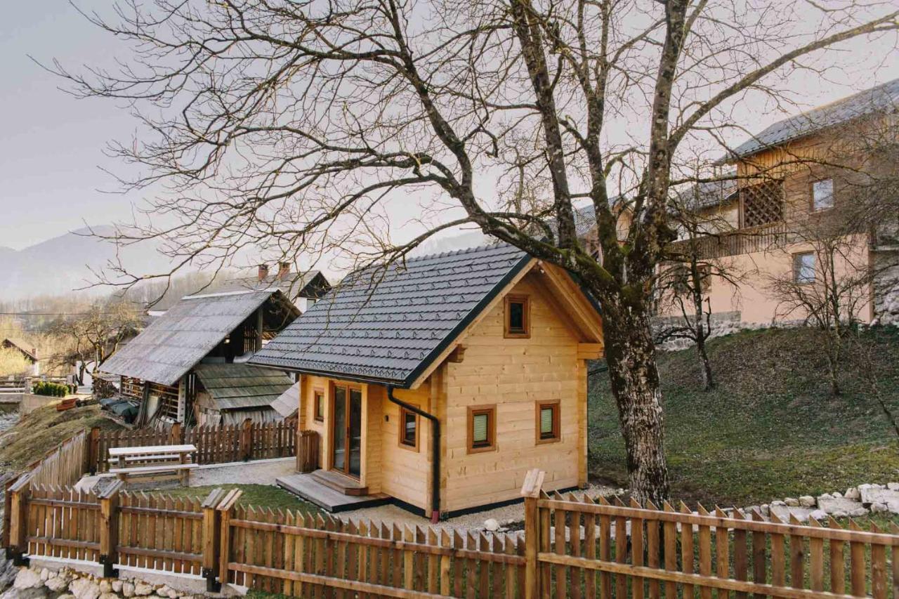 Holiday House Jereka -בוהין מראה חיצוני תמונה